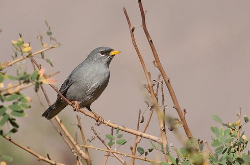 太阳成集团